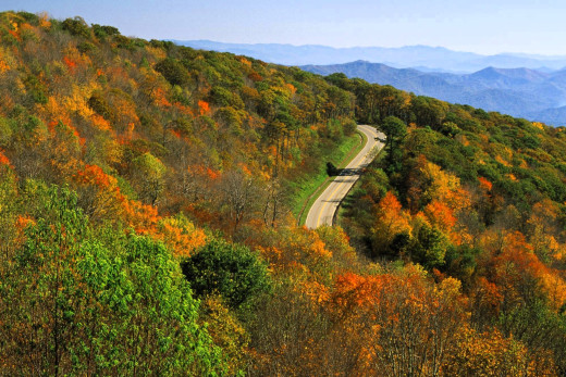 1755393 (a): :1999x1333